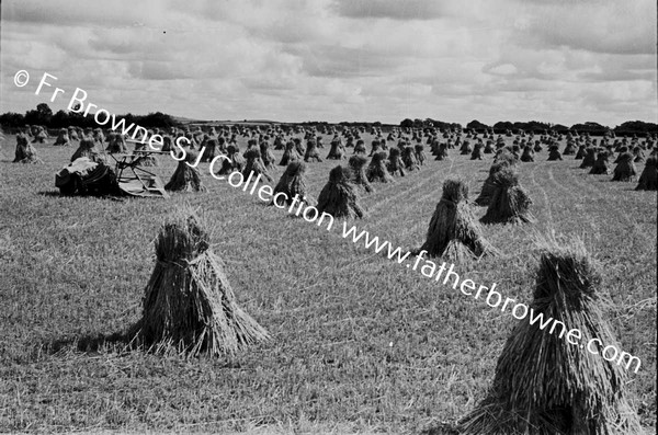 THRESHING AT ST MARYS